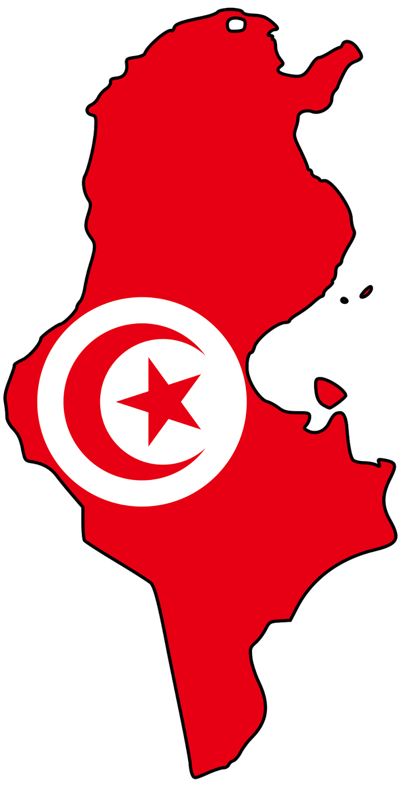 Premium IPTV Subscriptions for Tunisian Viewers